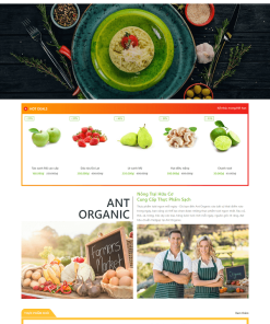 Ant Organic