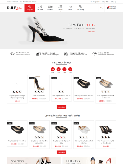 DuaLeo Shoes